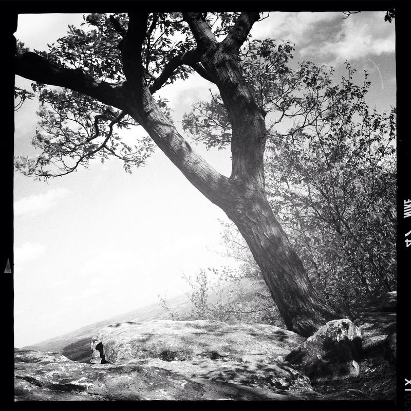 blackandwhite at North Lookout by Christimes