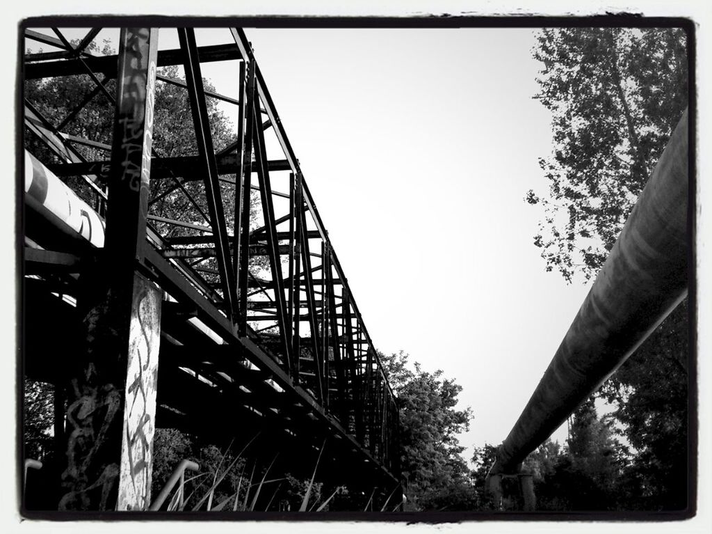 blackandwhite by potsdamer