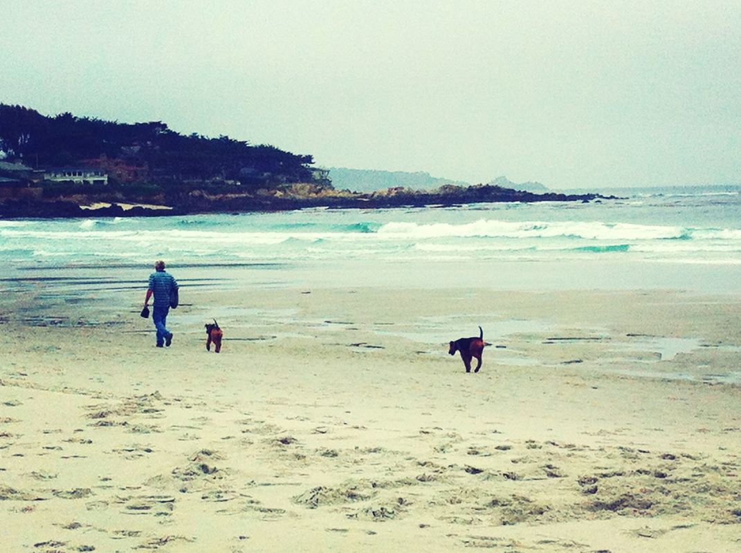 Life is a beach at Carmel CA by Koduckgirl