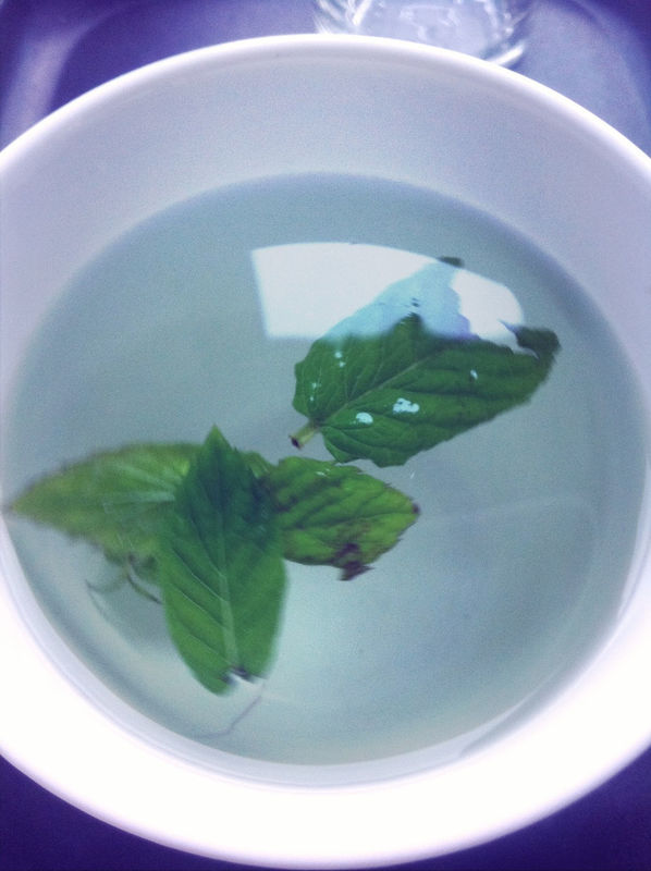 home-made peppermint tea at Casa Del Hjuler by c a r o l i n e