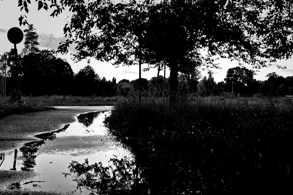 pankow by quitzi