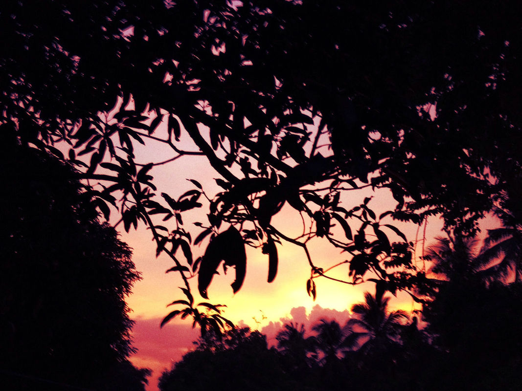 Silhouette by Omar Lazarte
