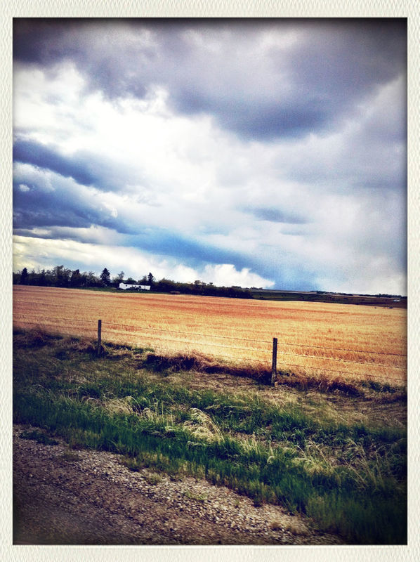 Scenery Shots by rokofficial_