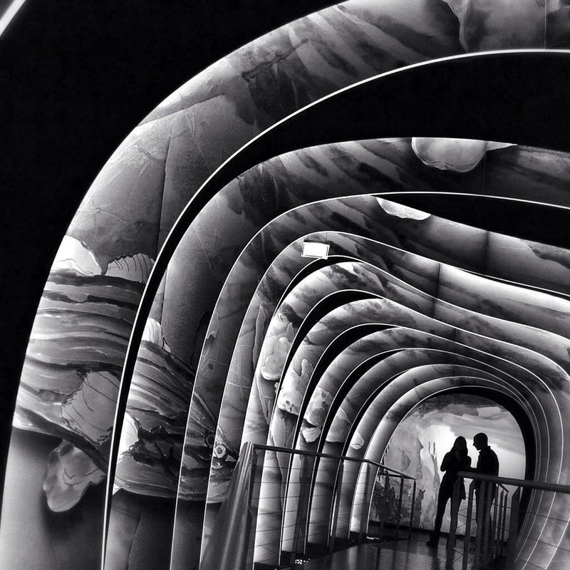 blackandwhite at Crystal World by diegobot