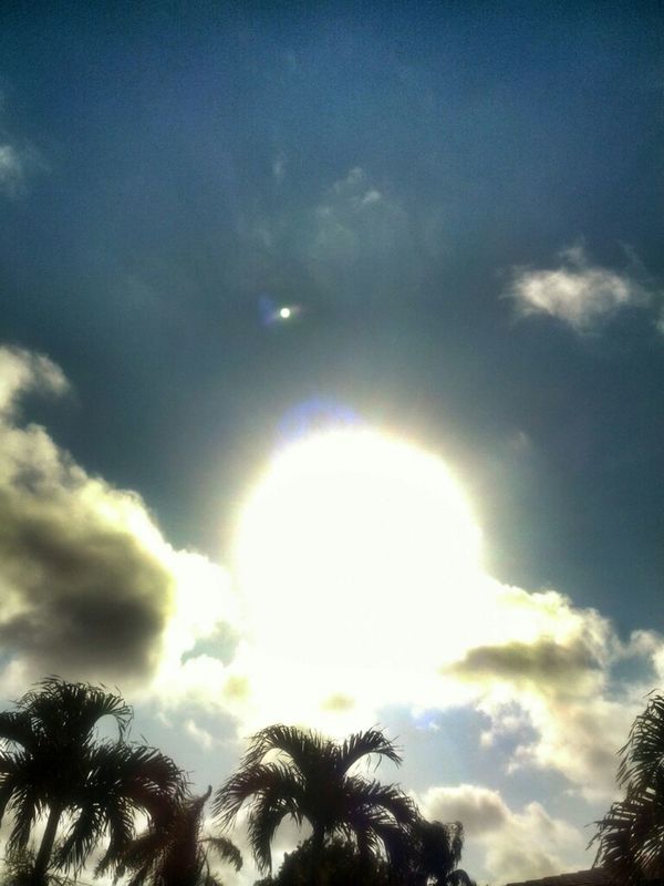 sun_collection by dontget2close