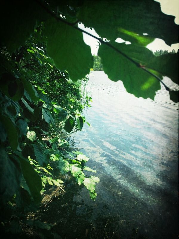 Enjoying Nature in Hürth by SarahSuu Roxx