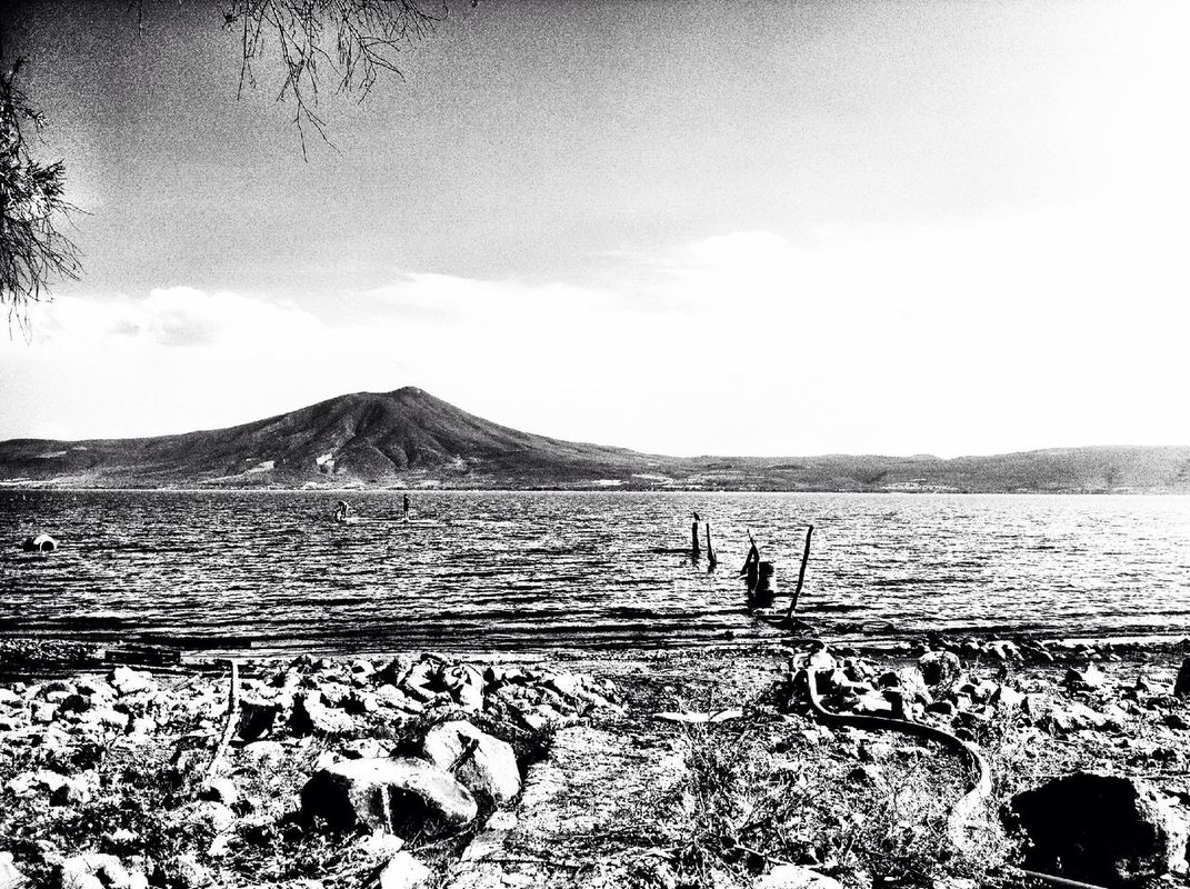 blackandwhite by Adriana
