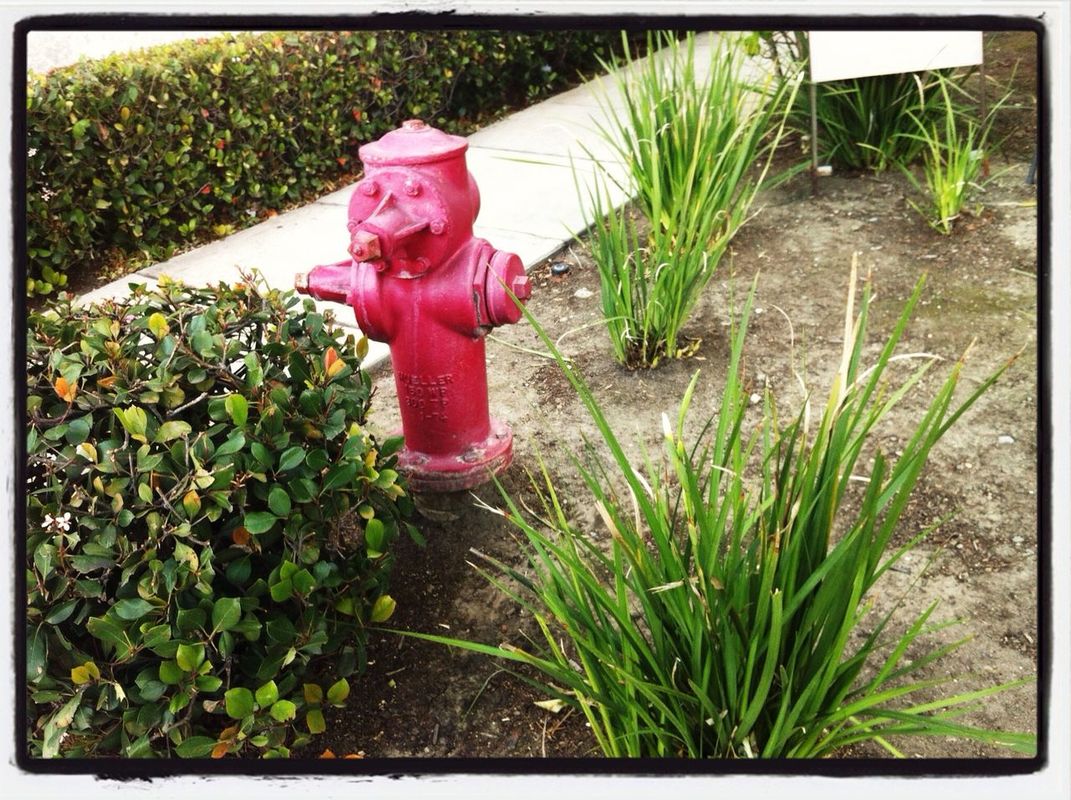 Red in Los Angeles by faith_g