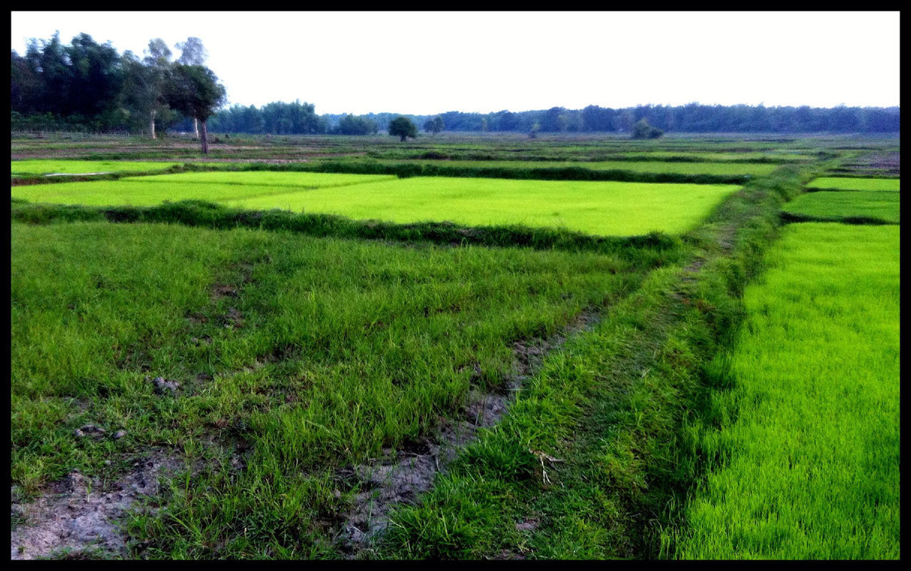 Green at Tha-Uthen by Rich