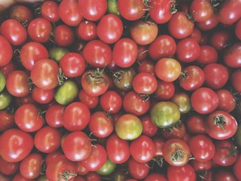 Full frame shot of tomatoes