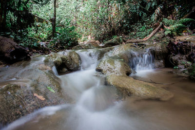 Scenic view of waterfall in forest