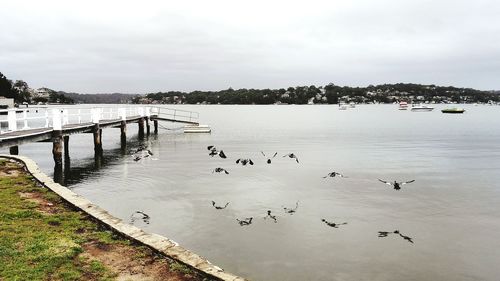 View of boats in sea