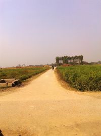 Road passing through field