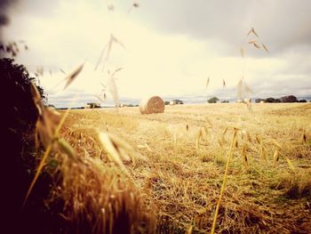 Hay bales on field against sky