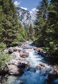 Stream flowing through rocks in forest