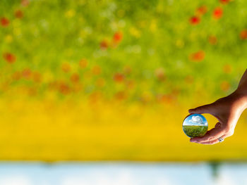 Cropped hand of woman holding crystal ball