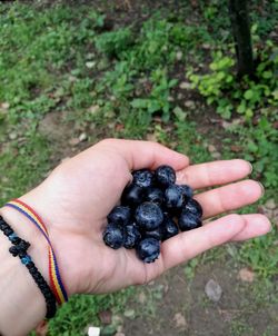 Midsection of man holding fruits