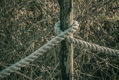 Close-up of rope