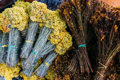 Bunches of fresh medicinal flowers of helichrysum and hypericum