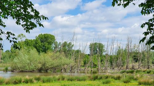 Scenic view of lake against sky
