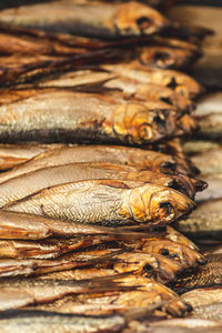 Dry smoked salted herrings in a row in a street food market, close up, vertical