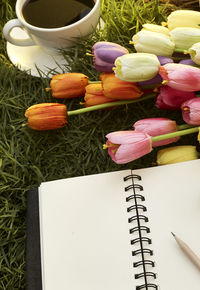 Close-up of tulips and book on field