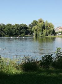 Scenic view of lake against clear sky