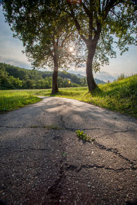 Road amidst trees against sky