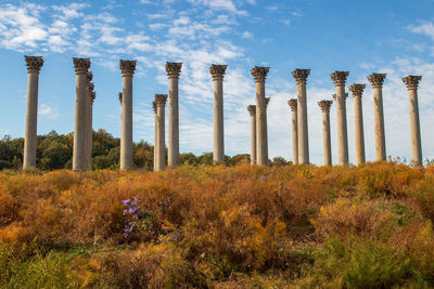 Old columns from the us capitol at the national arboretum