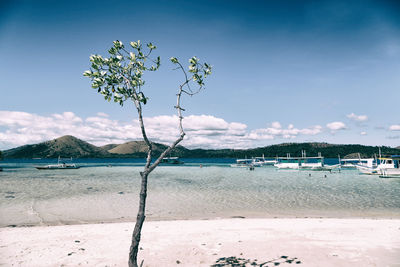 Scenic view of beach with yacht against sky