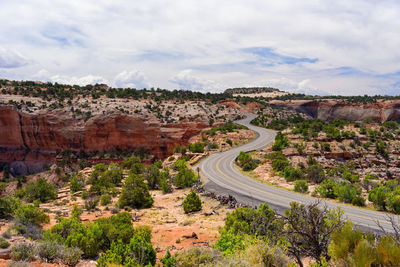 High angle view of road amidst plants against sky