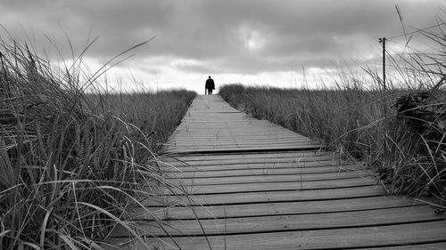 Boardwalk amidst plants on field against sky