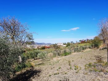 Scenic view of landscape against blue sky