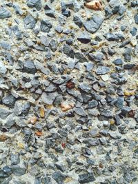 High angle view of pebbles on beach