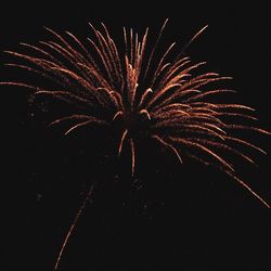 Low angle view of firework display against sky at night