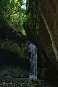 Waterfall in forest