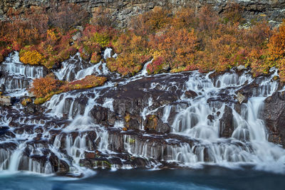 Scenic view of waterfall in forest during autumn