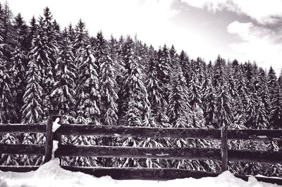 Snow on field against sky during winter