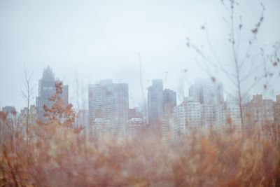 Skyscrapers in city