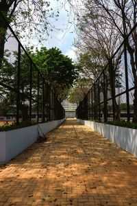 Footpath amidst trees in park against sky