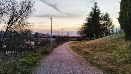 Empty road amidst trees against sky
