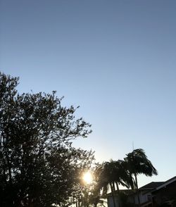 Low angle view of silhouette trees against clear sky