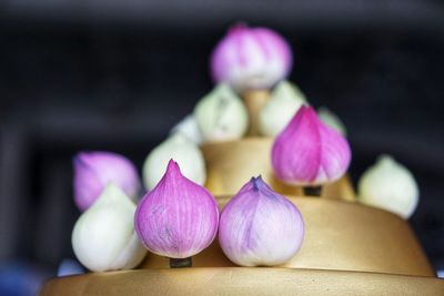 Close-up of purple flowers on table