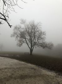 Bare tree on field against sky during winter