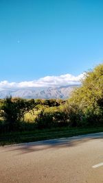 Road by trees against blue sky