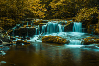 Scenic view of waterfall in forest