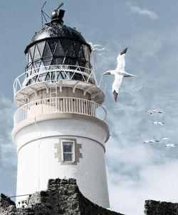 Low angle view of seagull flying over lighthouse against sky