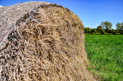 Hay bales on field against sky