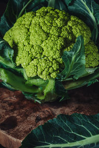 High angle view of vegetables