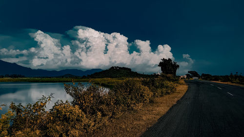 Panoramic view of road amidst plants against sky